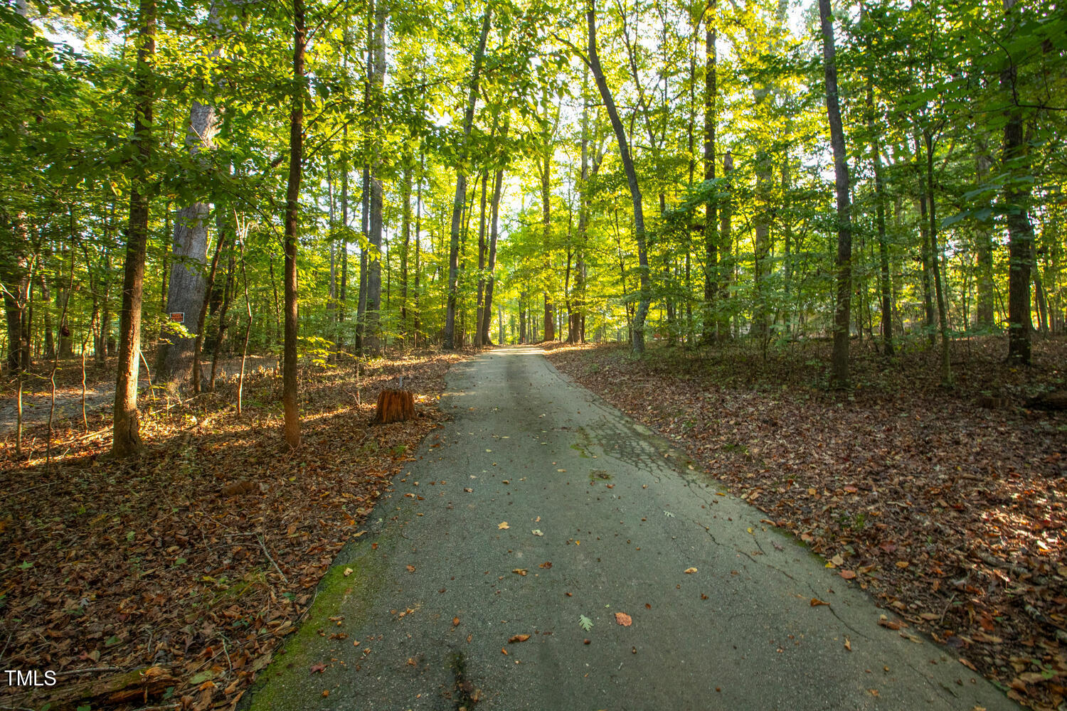 2012 Mt Vernon Church Road Raleigh, NC 27614 - Photo 69 of 71 2012 Mt Vernon Church Rd-large-070-020-D