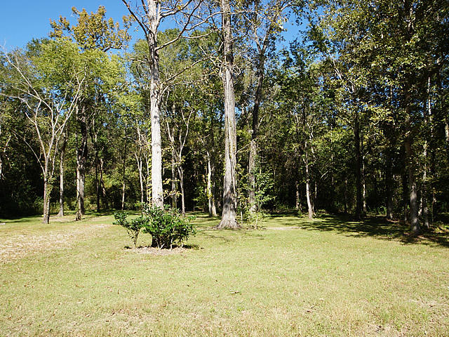 273 Riverside Circle Goose Creek, SC 29445 - Photo 16 of 23 24