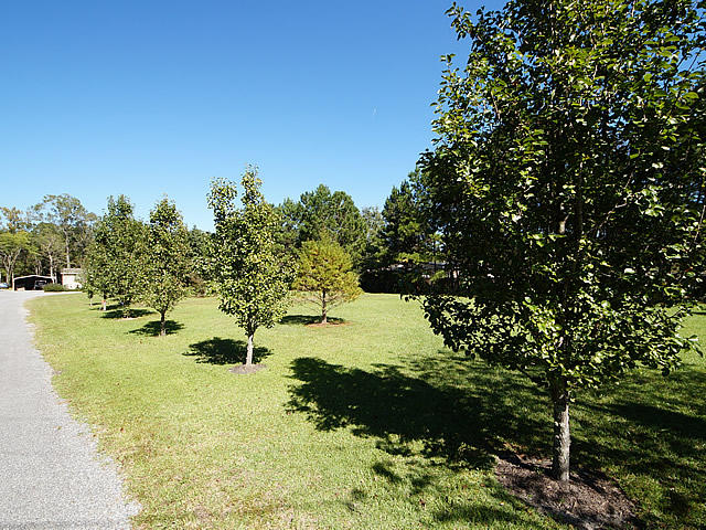 273 Riverside Circle Goose Creek, SC 29445 - Photo 19 of 23 28