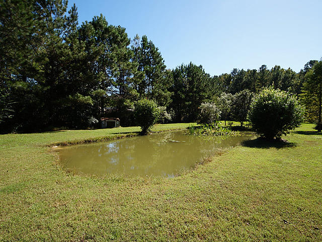273 Riverside Circle Goose Creek, SC 29445 - Photo 21 of 23 31