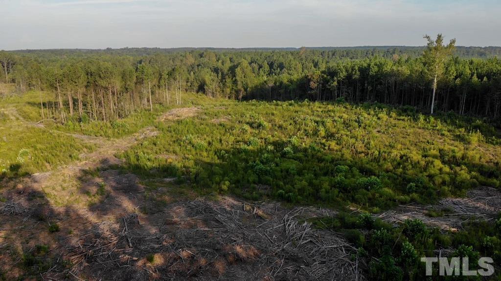 0 Riddley Powell Road Macon, NC 27551 - Photo 2 of 5