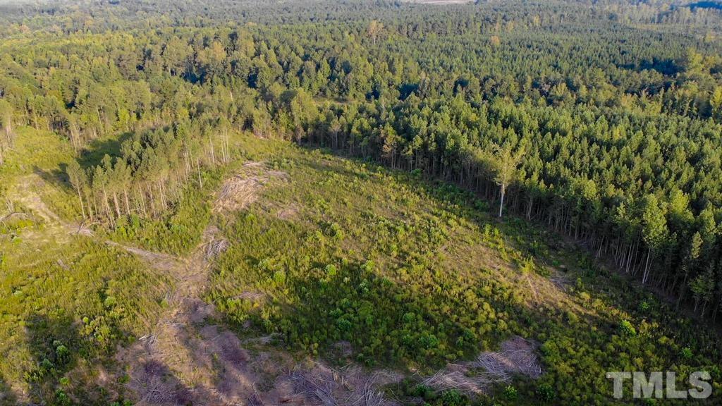 0 Riddley Powell Road Macon, NC 27551 - Photo 3 of 5 a view of a yard with plants and large trees