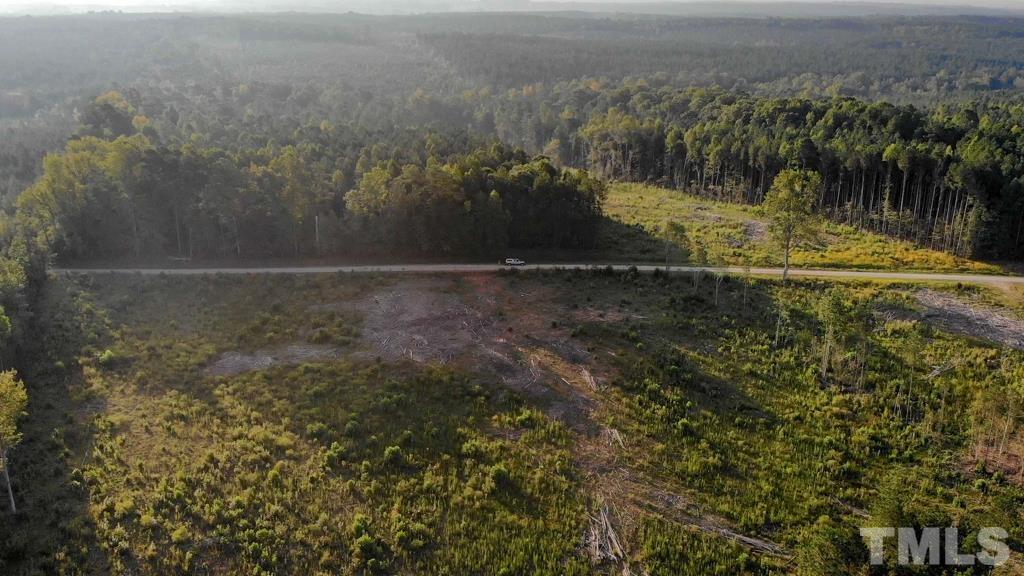 0 Riddley Powell Road Macon, NC 27551 - Photo 4 of 5 a view of outdoor space and trees