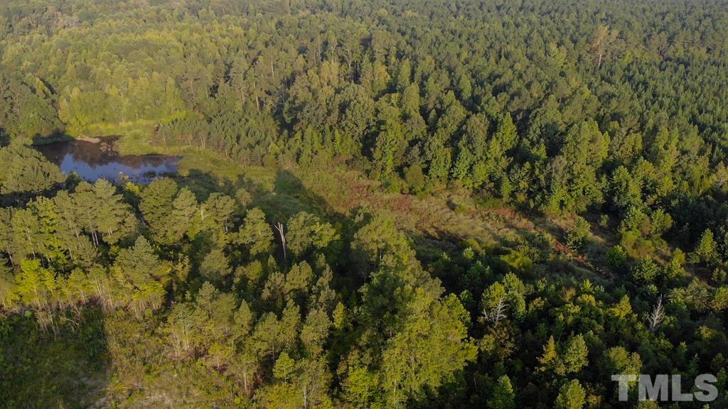 0 Riddley Powell Road Macon, NC 27551 - Photo 5 of 5 a view of a yard