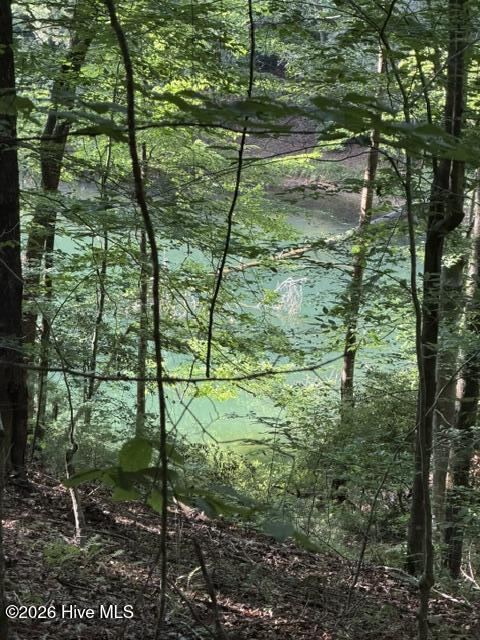 Lot 37 Quiet Waters Road Murphy, NC 28906 - Photo 1 of 6