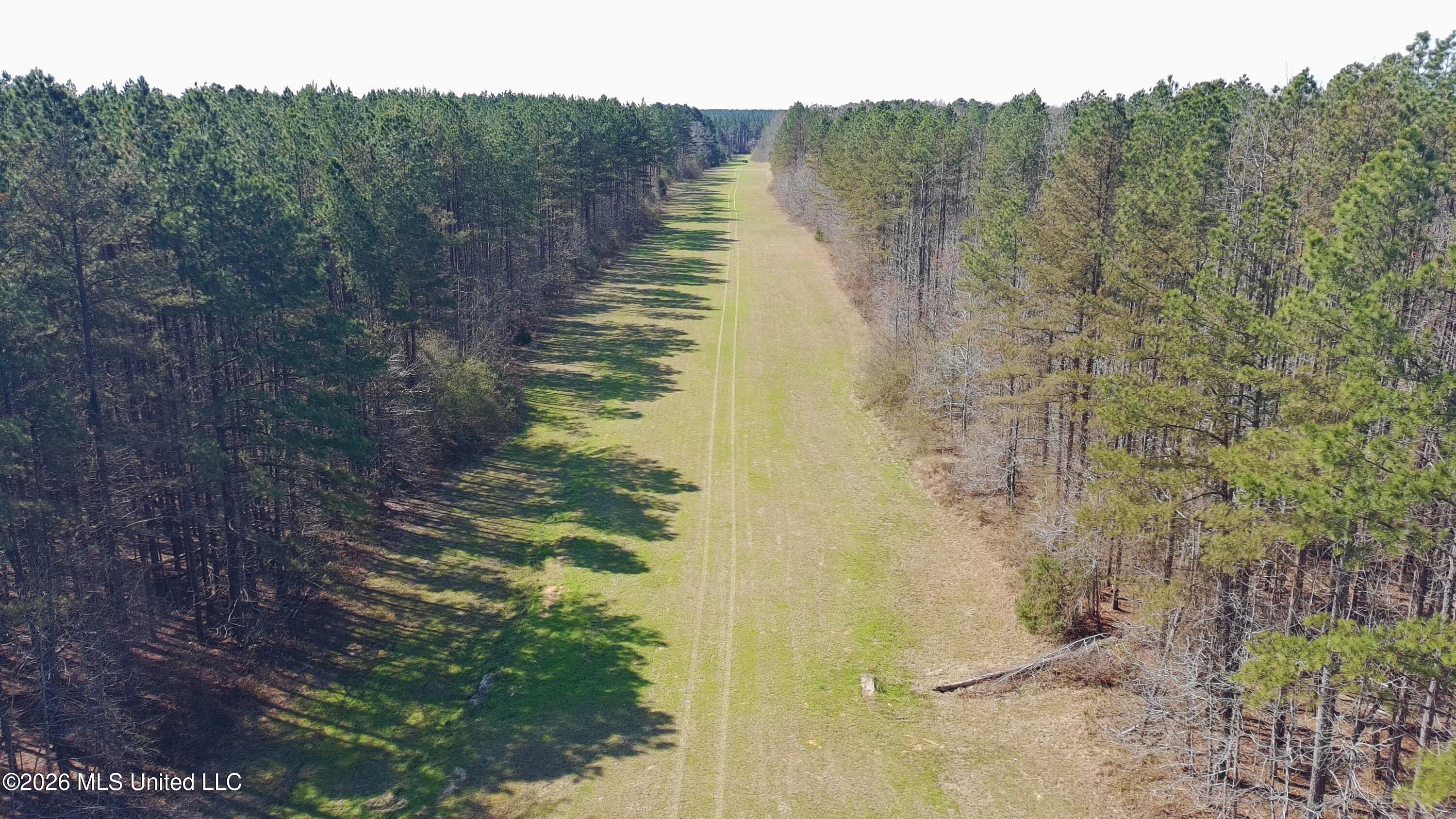 Ratliff Ferry Road Canton, MS 39046 - Photo 11 of 14 _app_sd_ATOM_001_DCIM_PTSC_0153