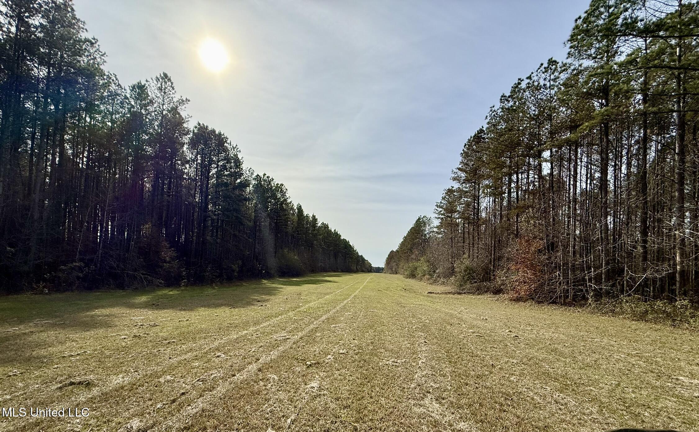 Ratliff Ferry Road Canton, MS 39046 - Photo 2 of 14 IMG_3470