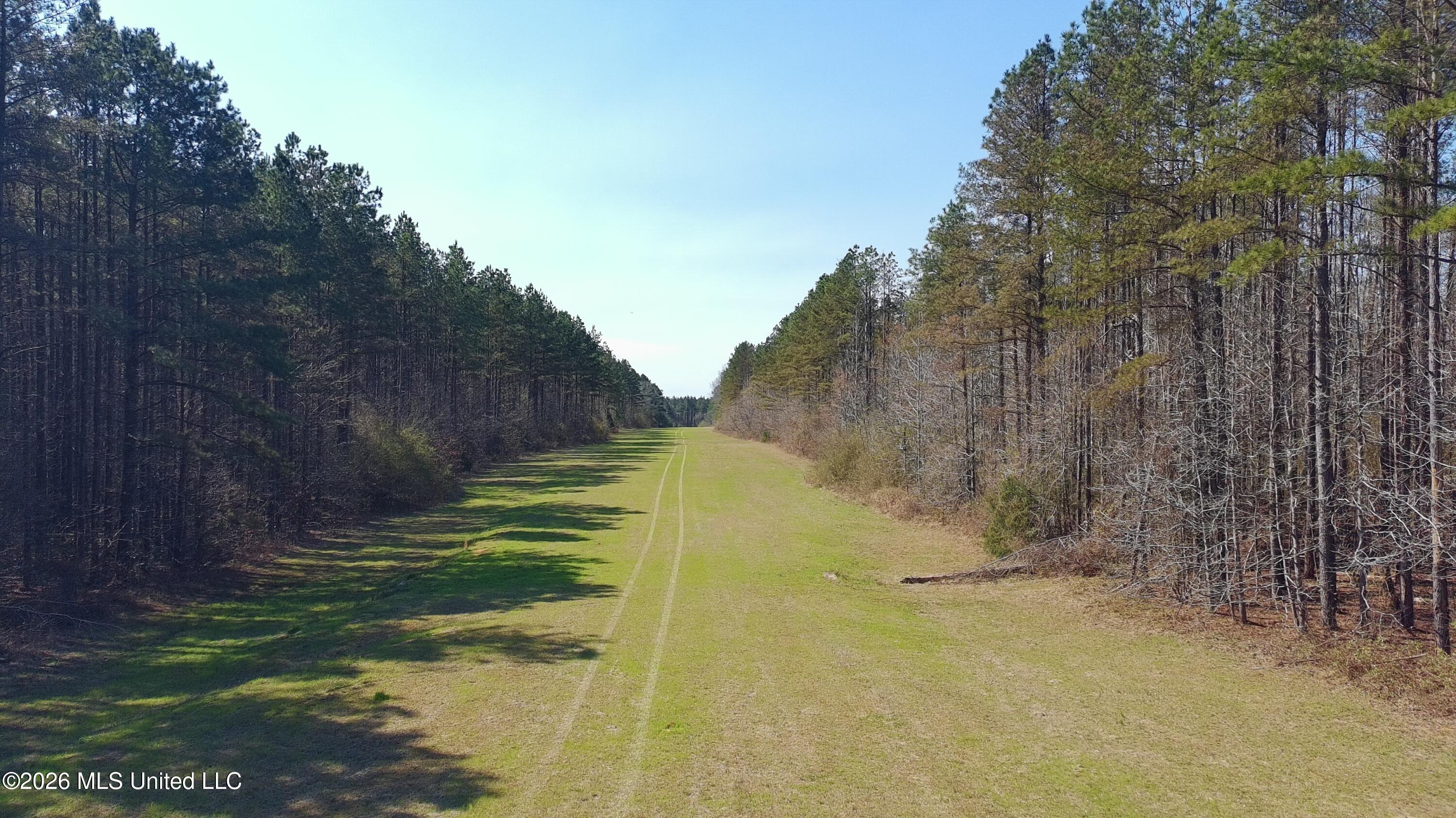 Ratliff Ferry Road Canton, MS 39046 - Photo 10 of 14 _app_sd_ATOM_001_DCIM_PTSC_0151