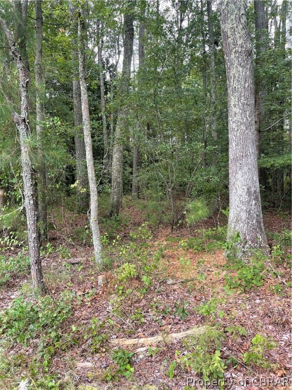 0 Line Fence Road Hayes, VA 23072 - Photo 4 of 14