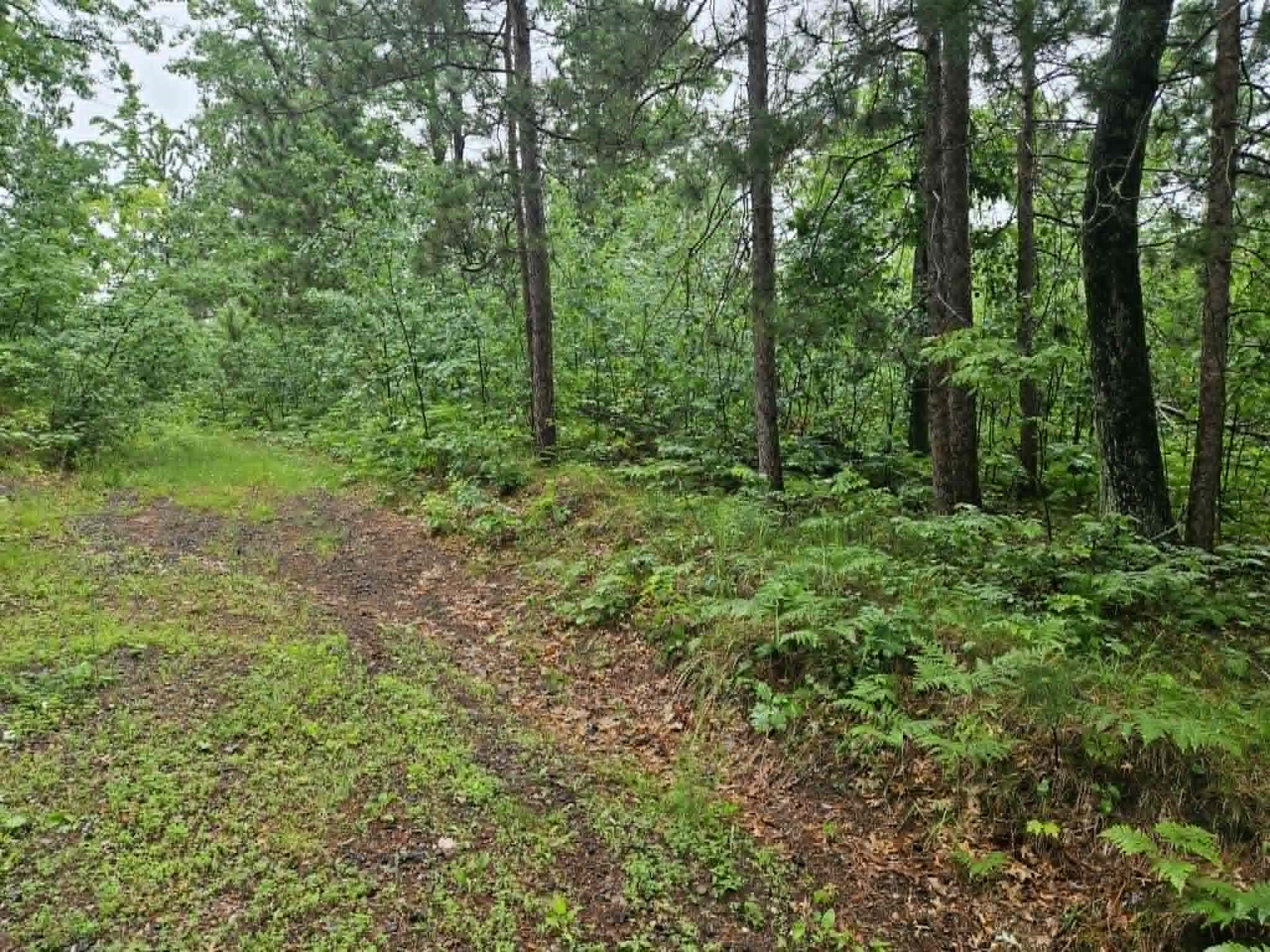 Lot 4 Hilly Lane Spooner, WI 54801 - Photo 2 of 4