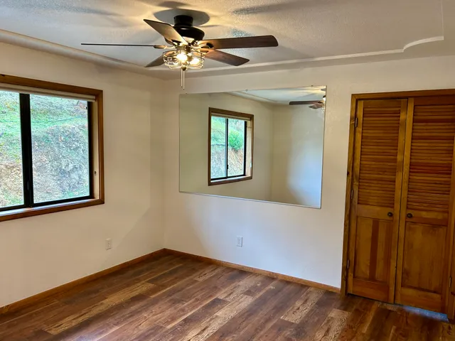 a view of a yard with a tree