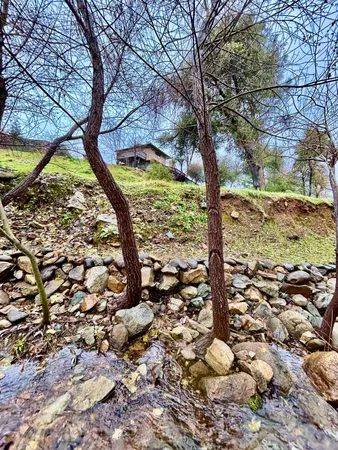 $430,000 | 11028 Wingfield Lane, Shasta, CA 96087