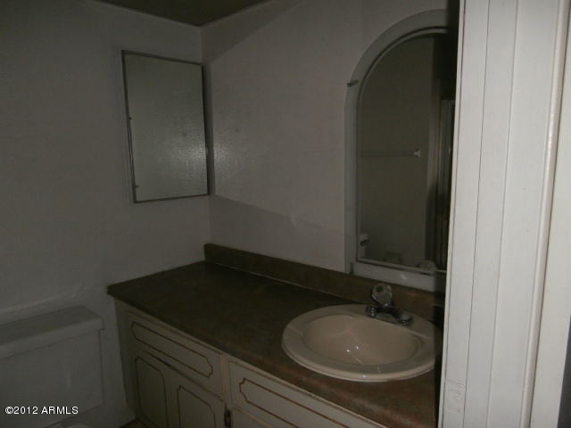 4224 East Vineyard Road Phoenix, AZ 85042 - Photo 27 of 36 Masterbathroom