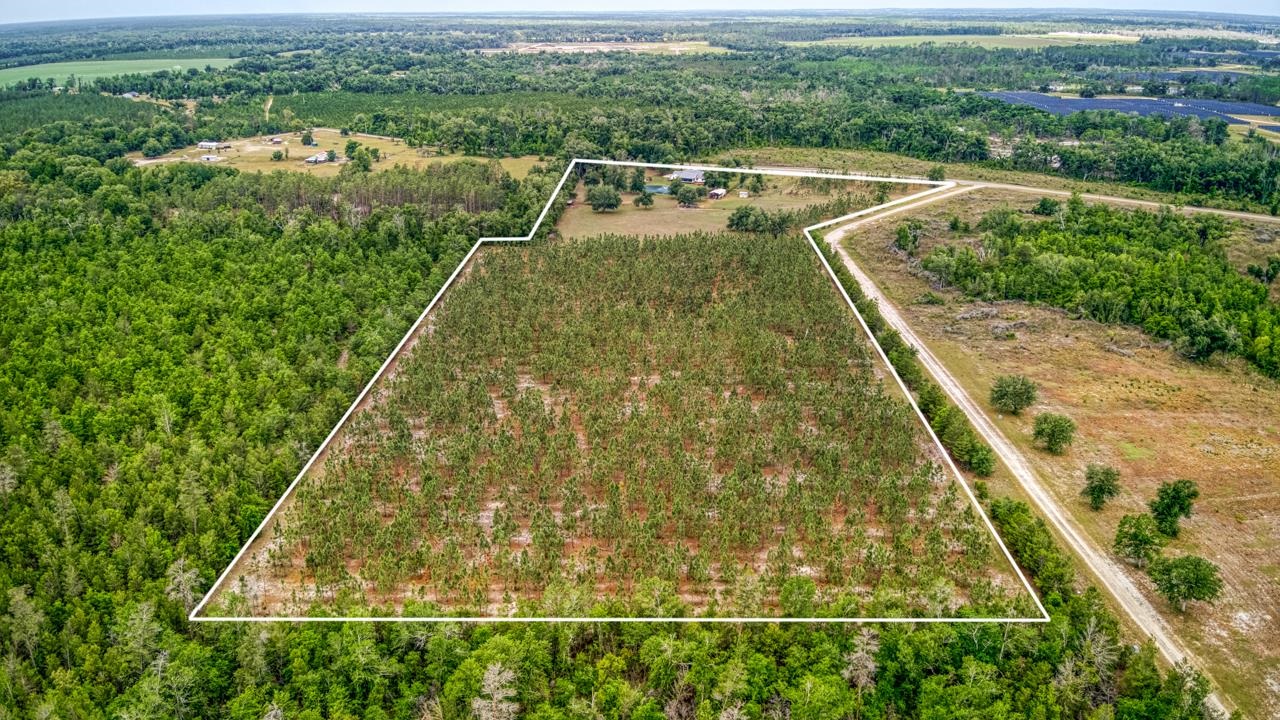1752 Southeast Rogers Sink Road Madison, FL 32340 - Photo 41 of 56