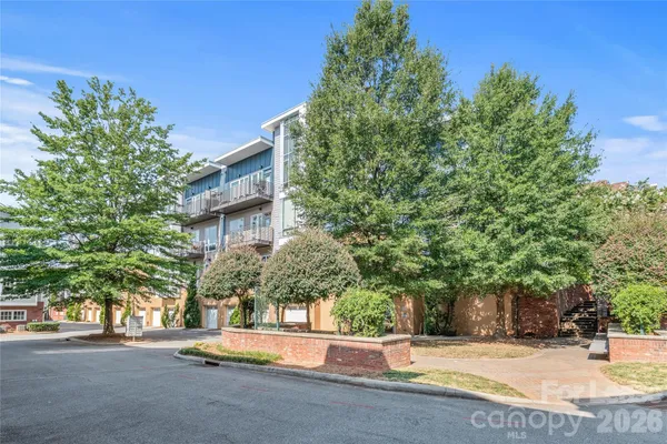 a view of road and trees