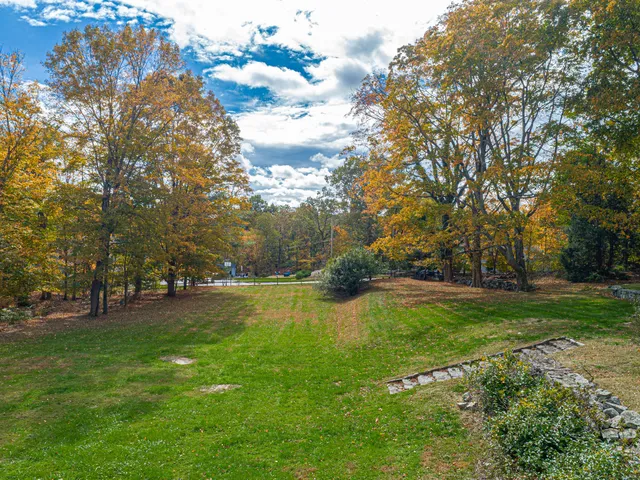 a view of a park with large trees