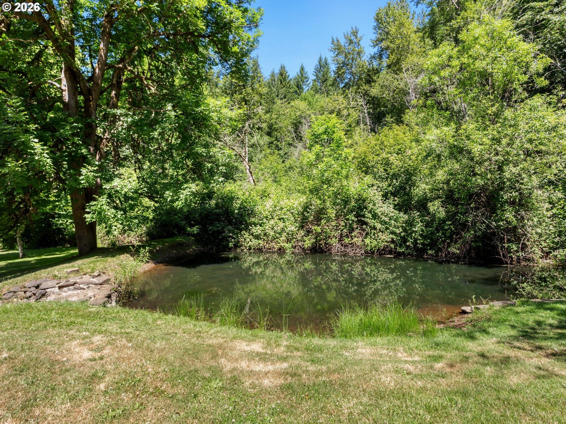 22905 Northeast Canyon Road Battle Ground, WA 98604 - Photo 38 of 48