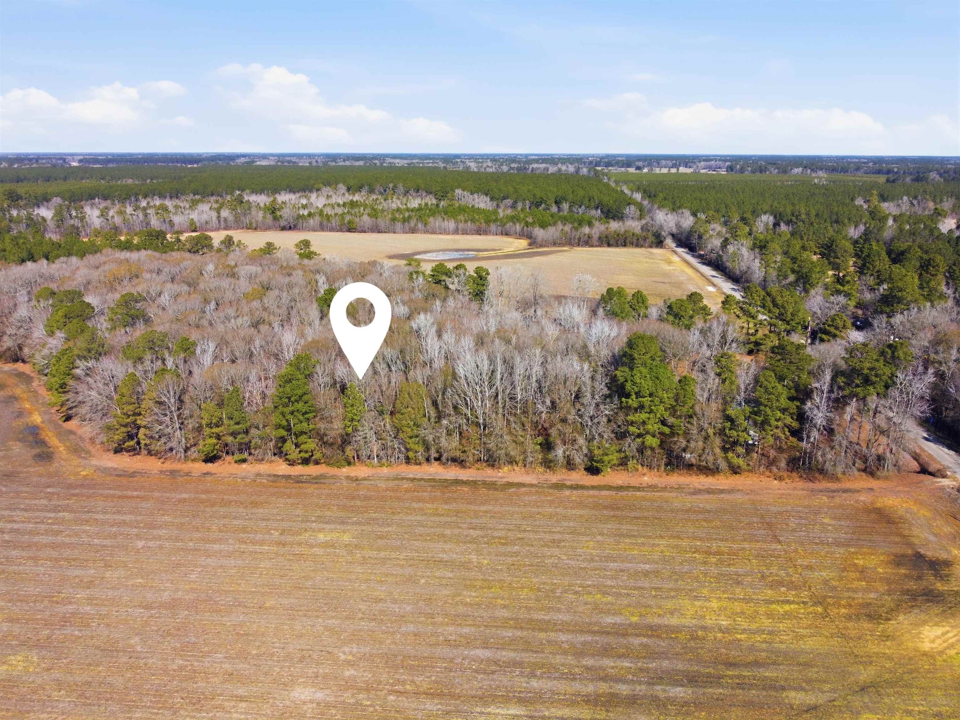 Not Specified Cades, SC 29518 - Photo 3 of 4 Gallery Image 3