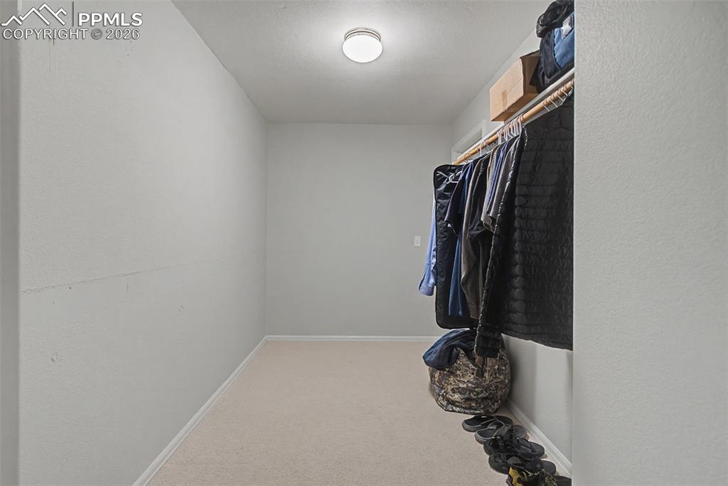 20 Luxury Lane Colorado Springs, CO 80921 - Photo 29 of 36 a close up view of walk in closet