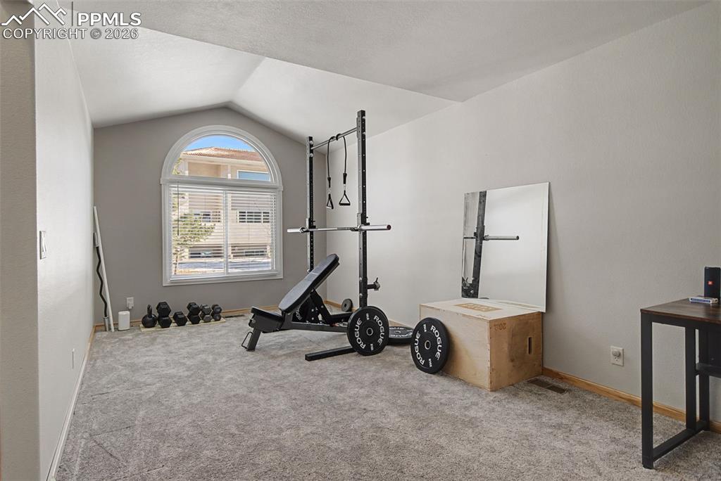 20 Luxury Lane Colorado Springs, CO 80921 - Photo 3 of 36 a view of a room with gym equipment
