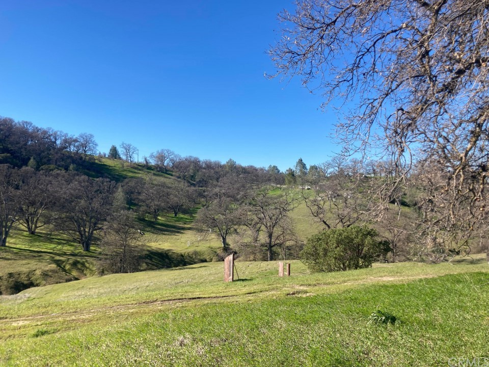 16810 Hill Road Corning, CA 96021 - Photo 1 of 1 a view of grassy field with trees