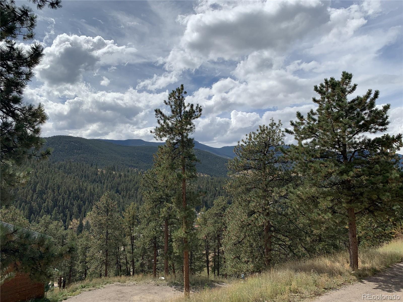 305 Virginia Road, Unit B Bailey, CO 80421 - Photo 38 of 41 Gallery Image 38
