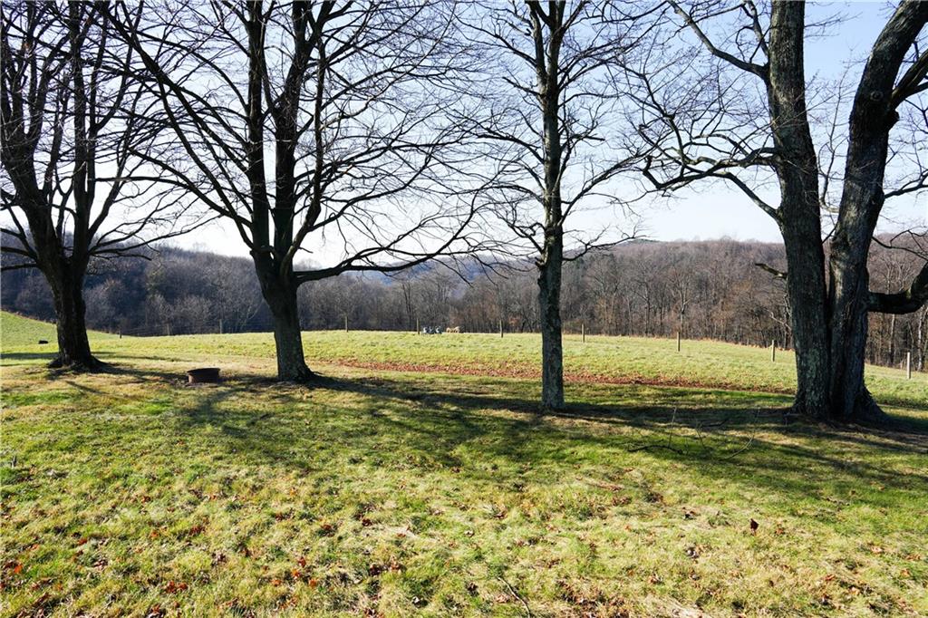 1390 Garretts Run Road Ford City, PA 16226 - Photo 2 of 24 a view of yard with tree