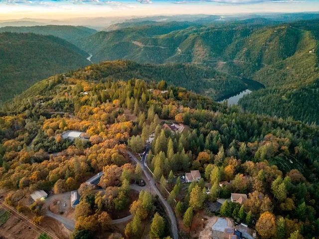 a view of a field with a forest