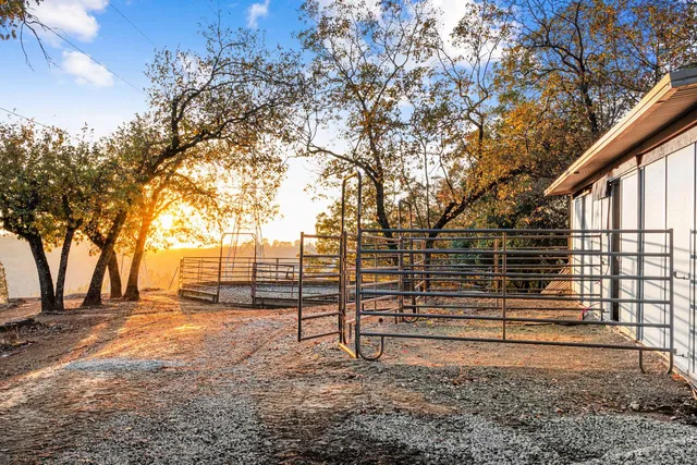 a view of outdoor space with deck and tree