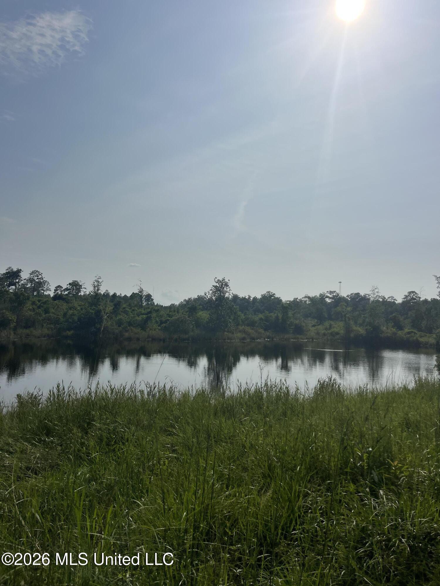 0 Crane Creek Road Perkinston, MS 39573 - Photo 13 of 17 IMG_4997