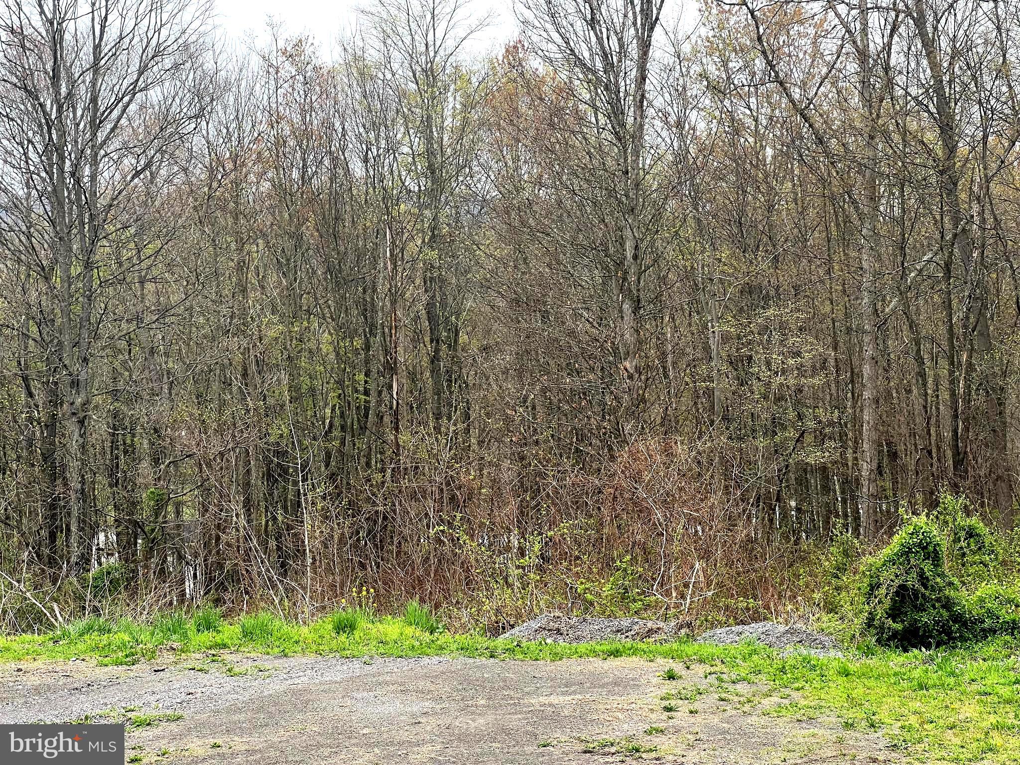 Lot # Ridge Way Drive Everett, PA 15537 - Photo 2 of 4