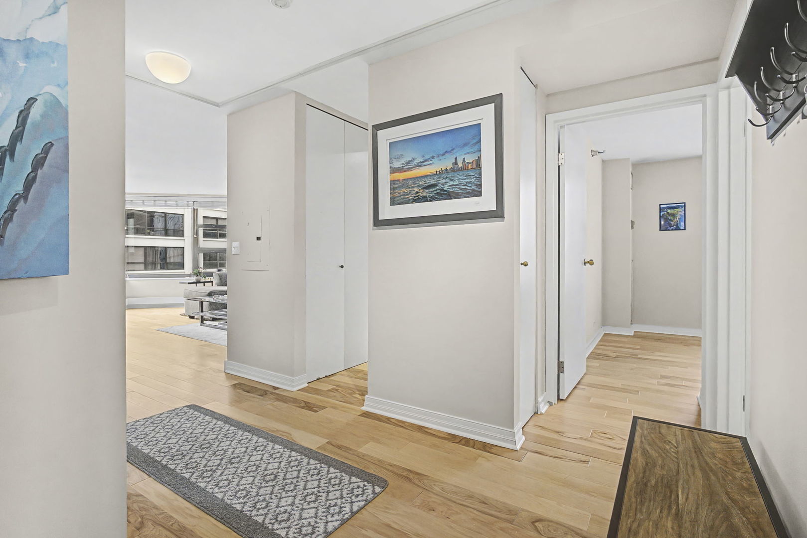 401 East Ontario Street, Unit 3102 Chicago, IL 60611 - Photo 3 of 29
