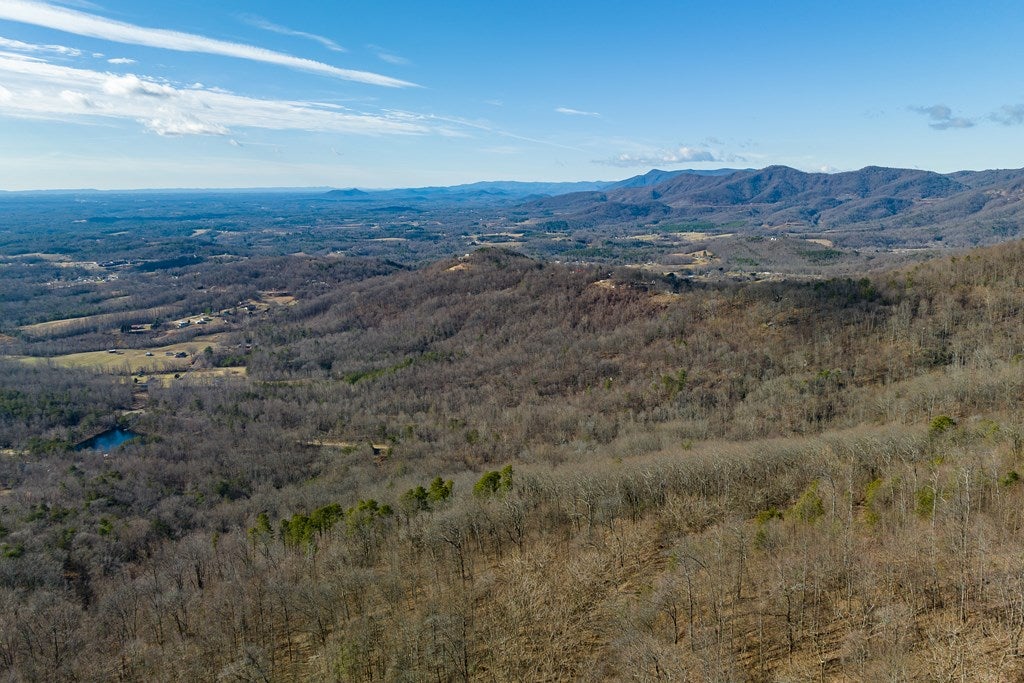 Lot 93 Reflections Point Trail, Unit 93 Fancy Gap, VA 24328 - Photo 17 of 92 Gallery Image 17