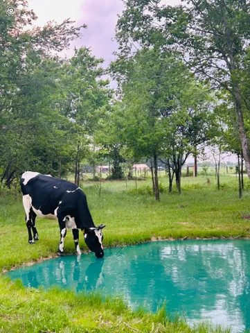 $125,000 | 930 County Road 930, Mexia, TX 76667