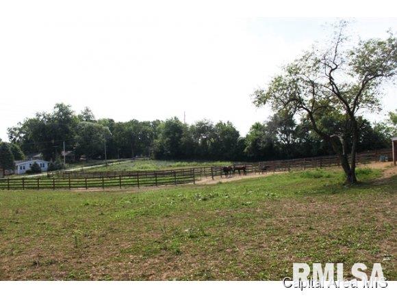 1091 Tansey Road Springfield, IL 62712 - Photo 3 of 11