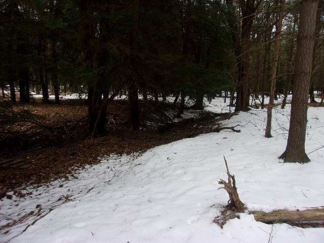 0 Greenwood Road Marienville, PA 16239 - Photo 2 of 5