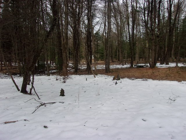 0 Greenwood Road Marienville, PA 16239 - Photo 4 of 5