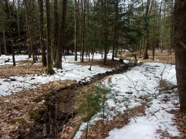 0 Greenwood Road Marienville, PA 16239 - Photo 5 of 5