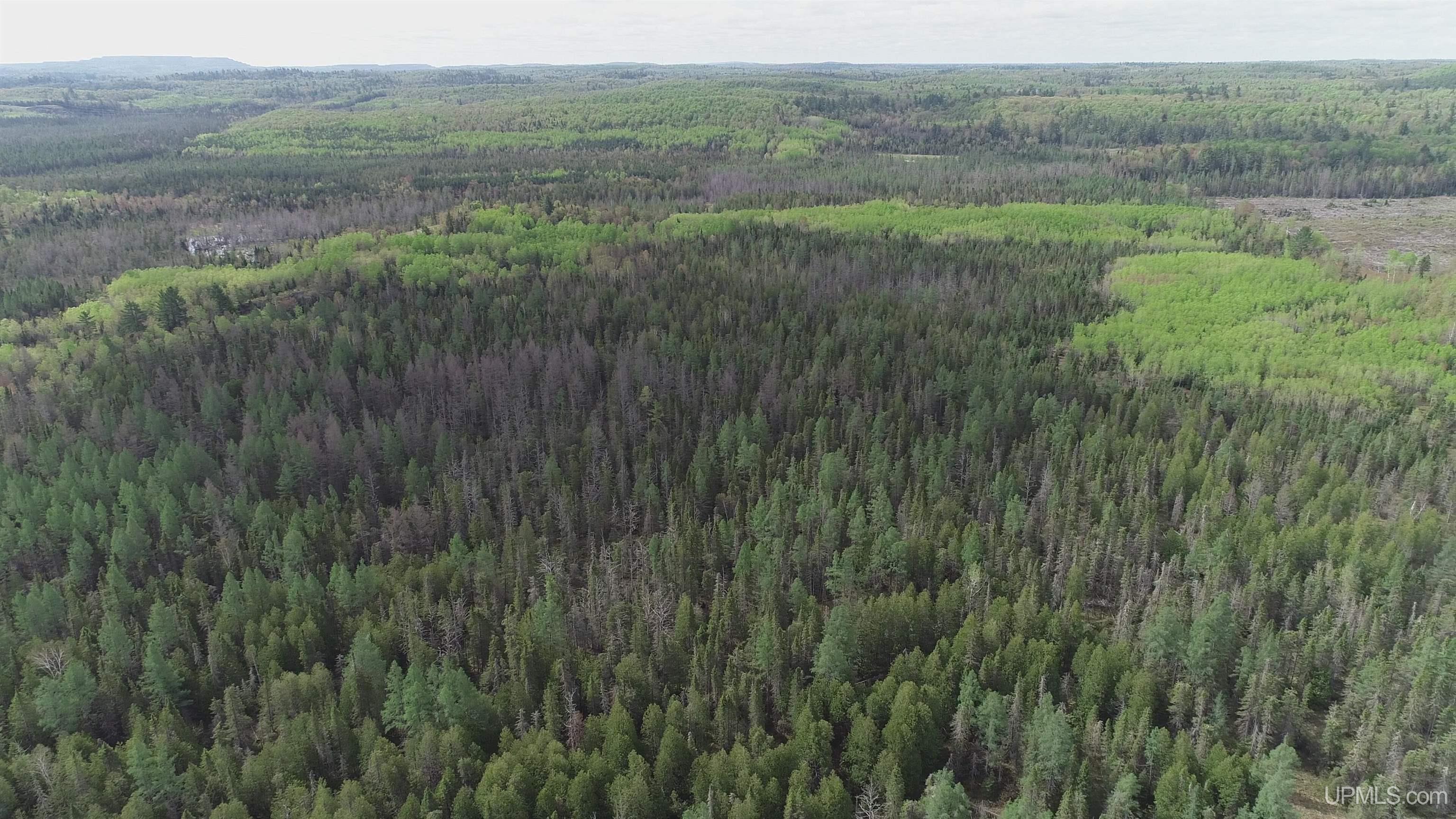 280-acres County Road CCN Road Negaunee, MI 49866 - Photo 40 of 48