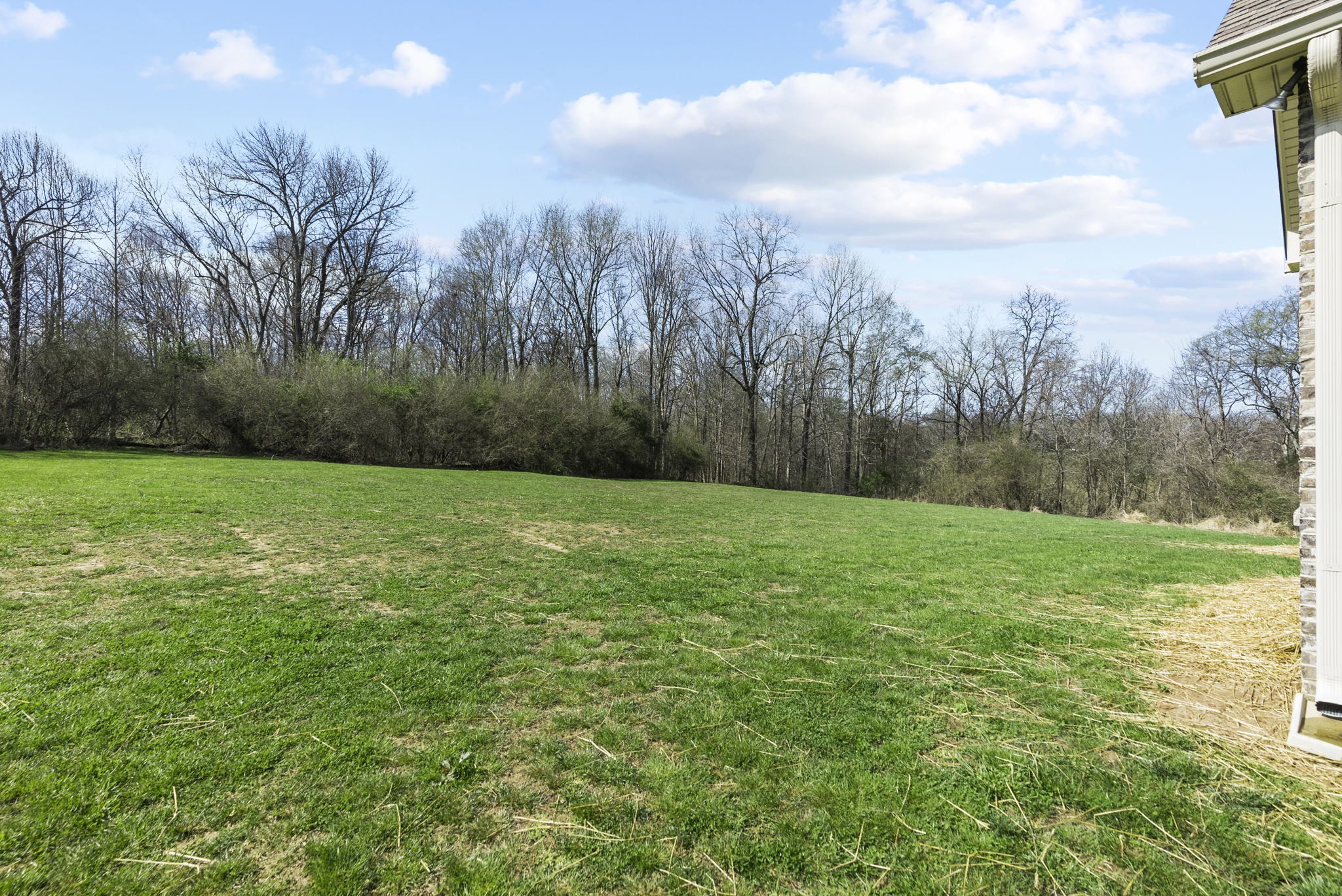 3459 Thompson Road Springfield, TN 37172 - Photo 37 of 39 a view of a yard with trees in the background