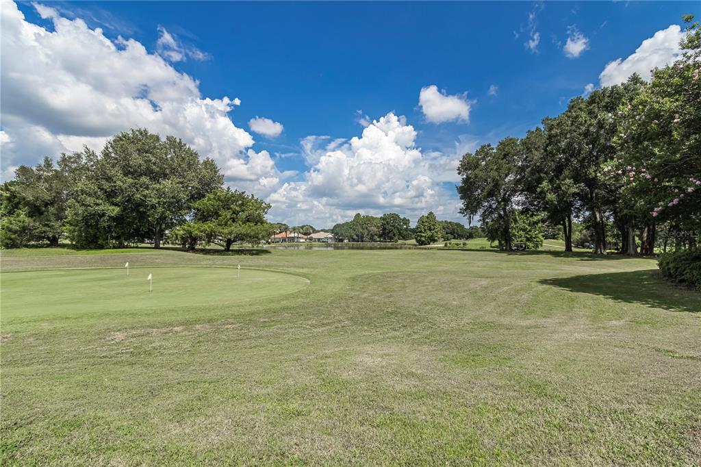 10962 Southwest 69th Circle Ocala, FL 34476 - Photo 53 of 59