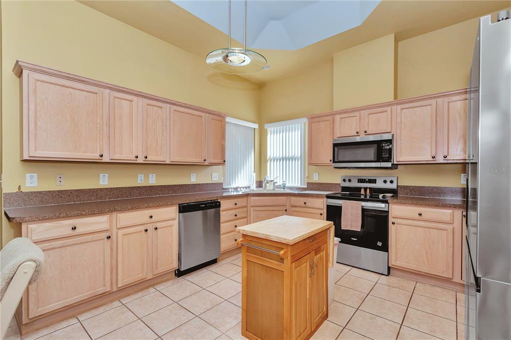 10962 Southwest 69th Circle Ocala, FL 34476 - Photo 8 of 59