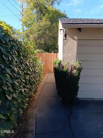 a view of a yard with a large trees