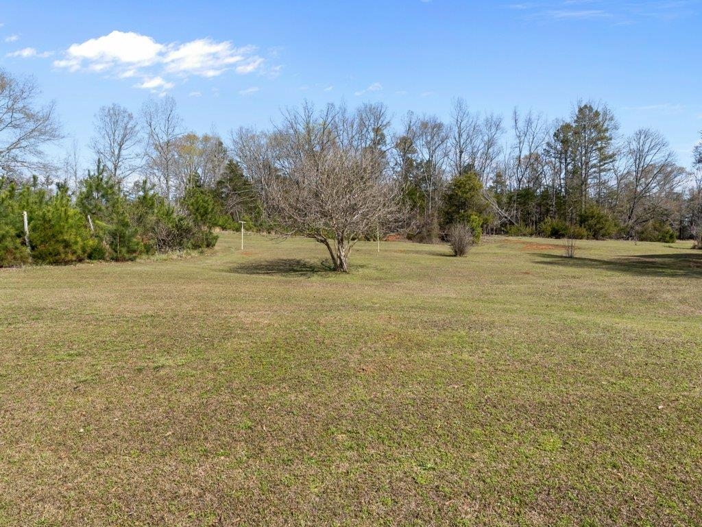445 Bishop Road Union, SC 29379 - Photo 39 of 41