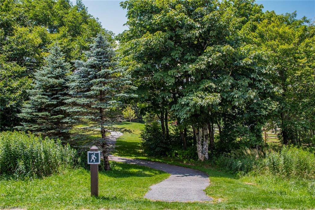 301 Pinnacle Inn Road, Unit 3302 Beech Mountain, NC 28604 - Photo 40 of 44 Path from Pinnacle Inn to the Beech Mountain Dog Park and Playground