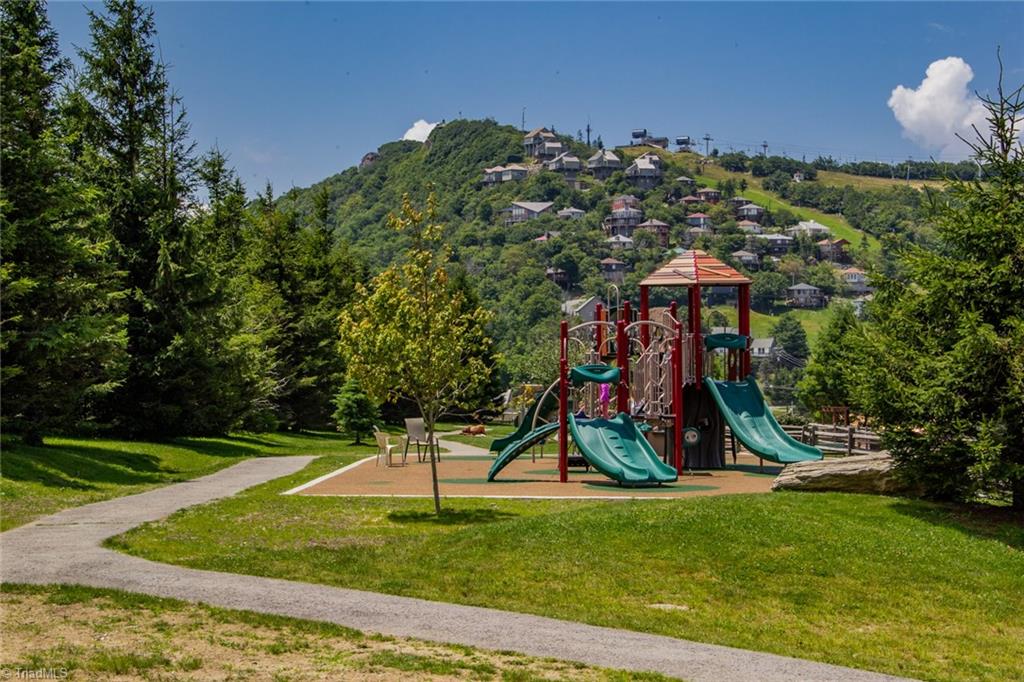 301 Pinnacle Inn Road, Unit 3302 Beech Mountain, NC 28604 - Photo 41 of 44 Beech Mountain Dog Park