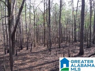 Pioneer Way, Unit 2 Sterrett, AL 35147 - Photo 12 of 24