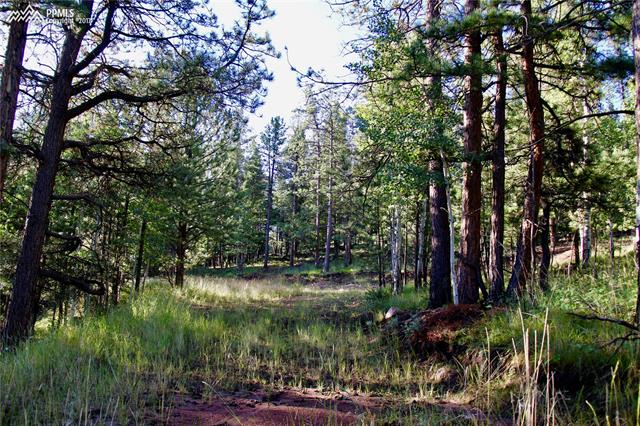 292 Pine Road Florissant, CO 80816 - Photo 12 of 14