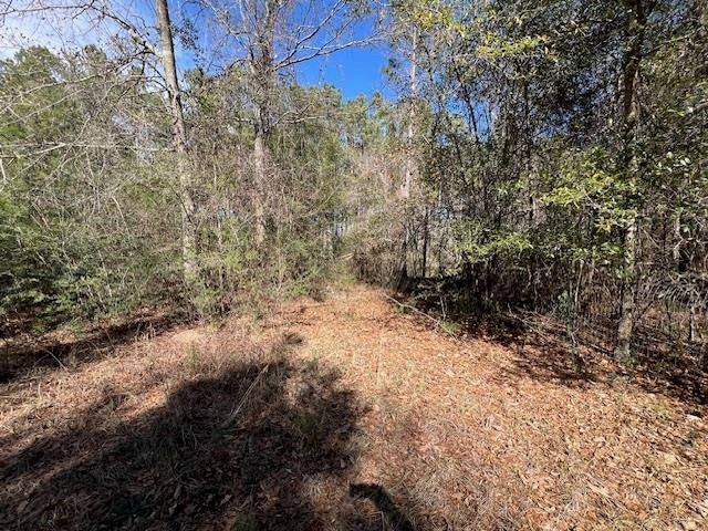 14-ac Potter Road Opp, AL 36467 - Photo 21 of 42 Gallery Image 21