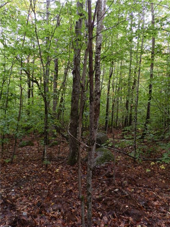 0 Wards Road Ellsworth, ME 04605 - Photo 17 of 29 Photo